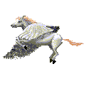 Winged Unicorn